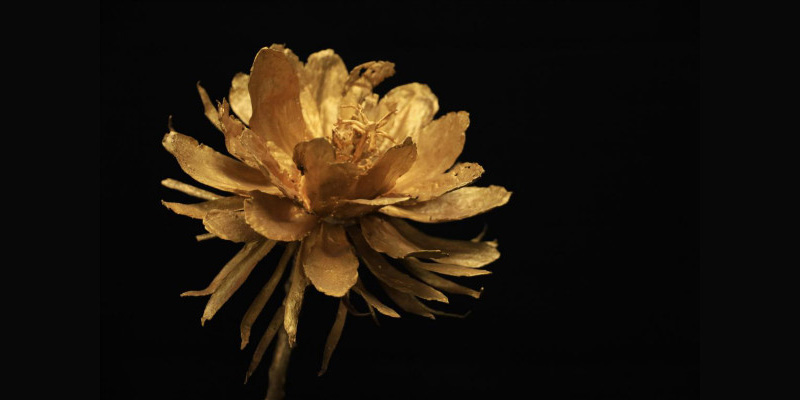 1623136298339499.jpg 2.jpg